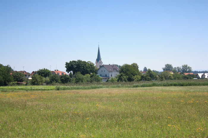 IMG_4862.jpg