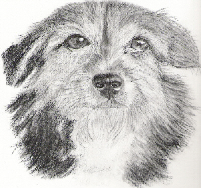 Scannen0001.jpg