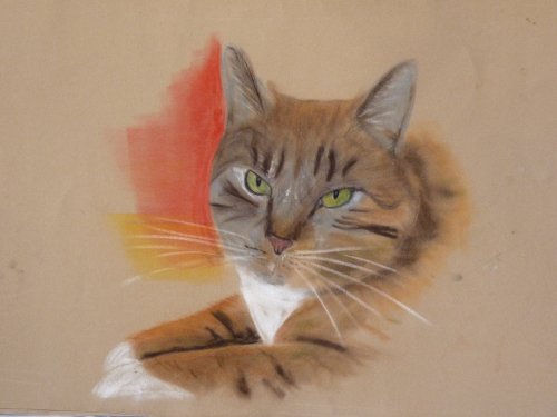 Toulouse.jpg