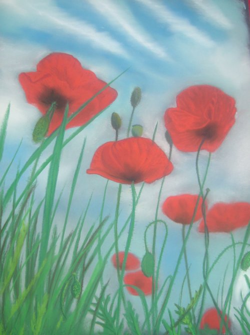 Mohn.jpg