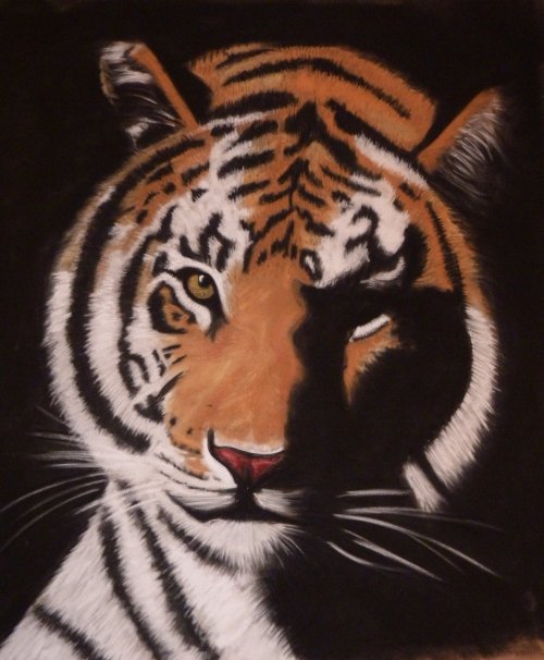 Tigerkopf.jpg
