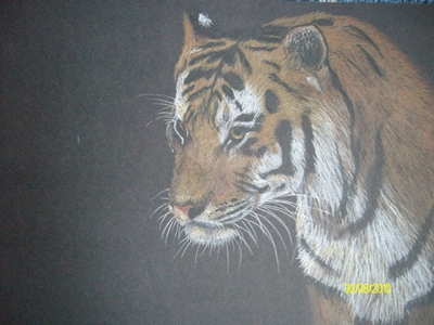 SANY1661_copy.JPG