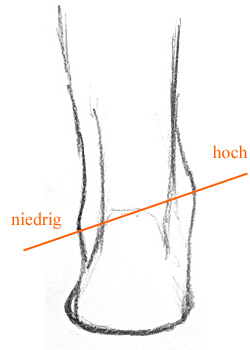 Knöchel zeichnen