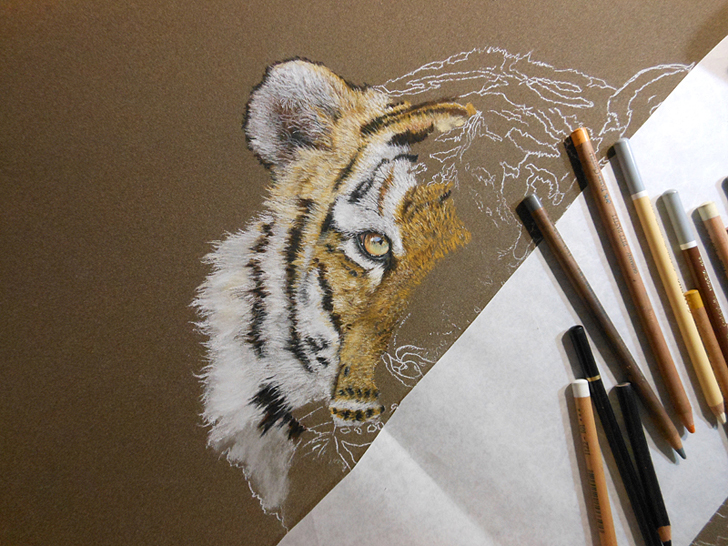Tiger mit Pastellkreide malen