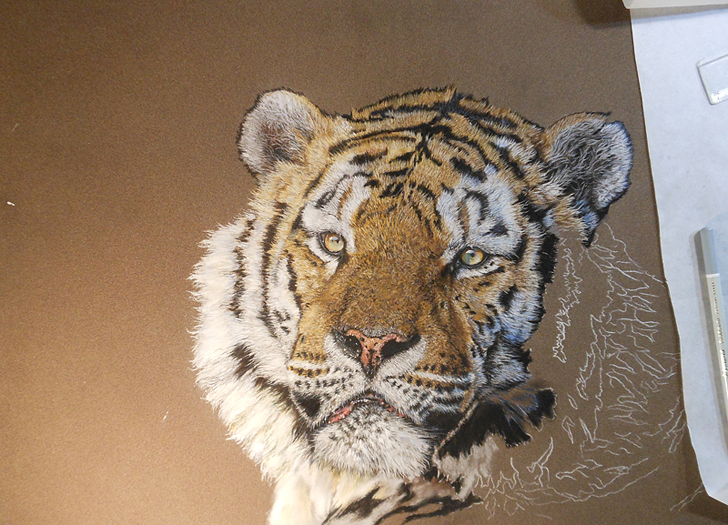 Tiger mit Pastell malen