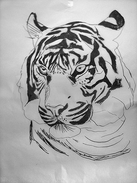 Tiger Pastellmalerei
