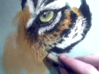 Tiger malen mit Pastell