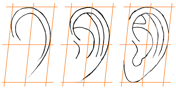 Ohr schritt für schritt zeichnen