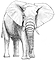 Einen Elefanten zeichnen & malen
