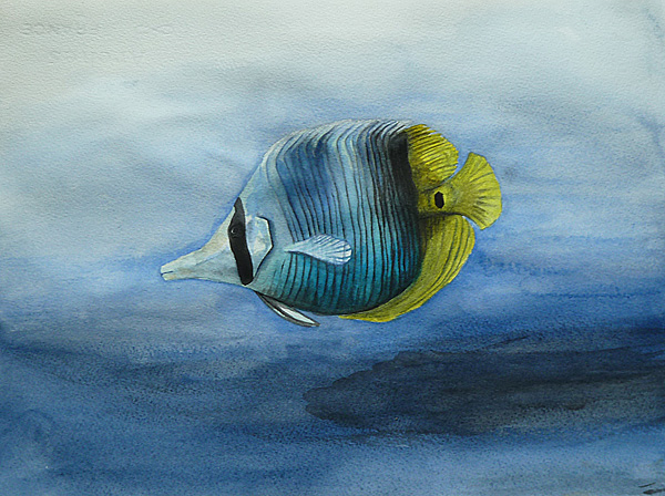 Fisch Aquarell malen