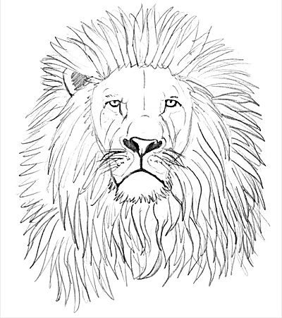 Einen Löwen zeichnen