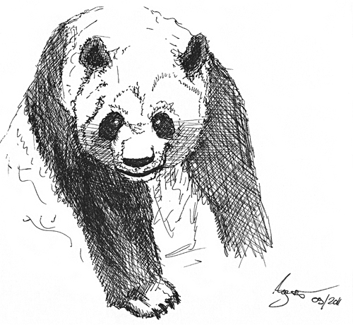 Einen Panda malen & zeichnen