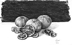 Stillleben - Mandarinen