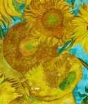 Detail - Van Goghs Sonnenblumen