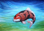 Koi