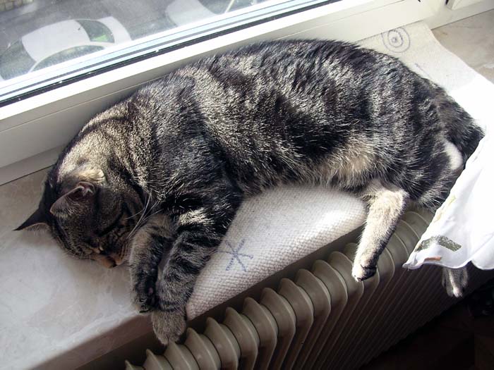 DSCN2072.jpg